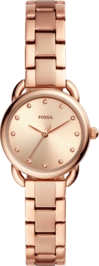 Часы Fossil ES4497